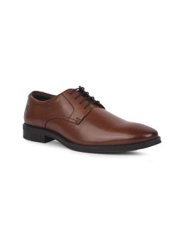 Rockport - Men Brown Formal Oxford