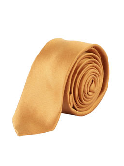 Alvaro Castagnino - Mens 100 Percent W.Silk Necktie