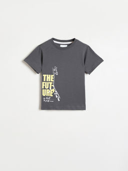 Blue Giraffe - Boys Grey Printed Round Neck T-Shirt