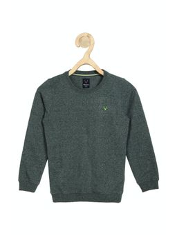 Allen Solly Junior - Boys Green Regular Fit Sweatshirt