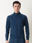 Blue color option, Currently selected