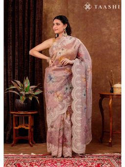 Taashi - Gilded Champagne Border Multi-Color Saree