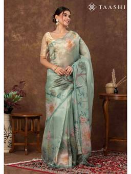 Taashi - Luminous Mint Heron Multi-Color Saree