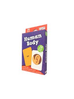 Pegasus - Human Body Flash Cards