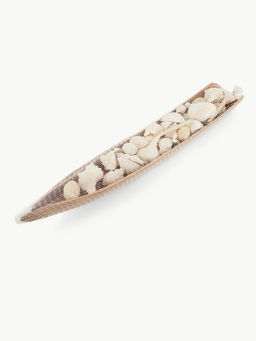 Twig & Twine - Nautica Shells in dried leaf Decorative Piece
