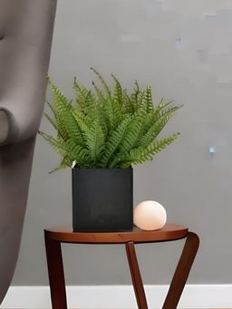 At Home by Nilkamal - Succulent Artificial Potted Plant Green