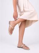 Cream color option