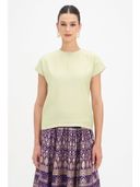 Green color option, Currently selected