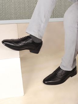 Carlton London - Men Black Wingtip Lace-Up Brogue Shoes