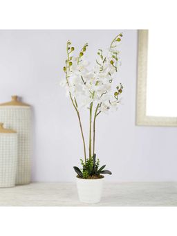 HomeTown - Ilana Artificial Orchid Potted Plant 75 cm In White Colour