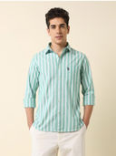 Green color option, Currently selected