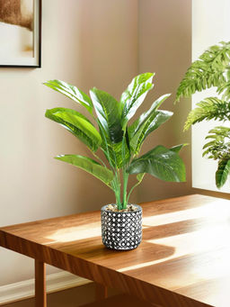 UMAI - Multi-Color Artificial Plant with Pot