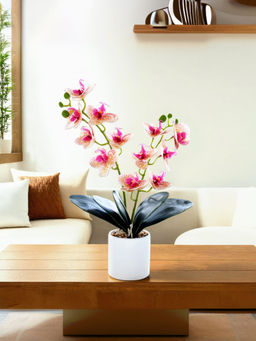 UMAI - Multi-Color Artificial Plant