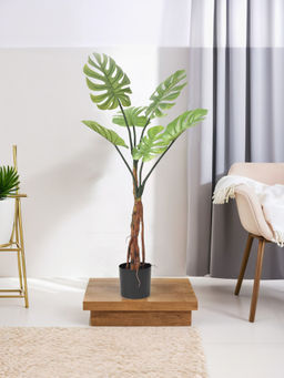UMAI - Green Monstera Tree Artificial Plant