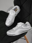 Silver color option, Currently selected