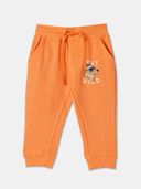 Orange color option, Currently selected