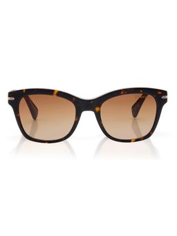 Shisen Fox - Women Arias Feza Acetate Brown Square Uv Coating Full Rim Sunglass-Asg14 (52)