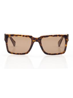Shisen Fox - Unisex Arias Kokoro Acetate Brown Rectangle Uv Coating Full Rim Sunglass-Asg45 (53)