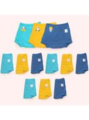 Multi-Color color option, Currently selected