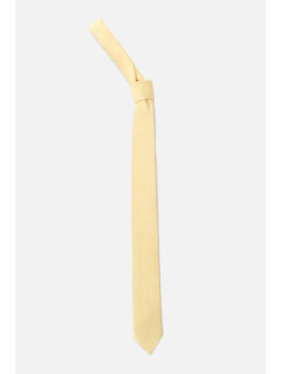 Allen Solly - Men Yellow Textured Formal Tie
