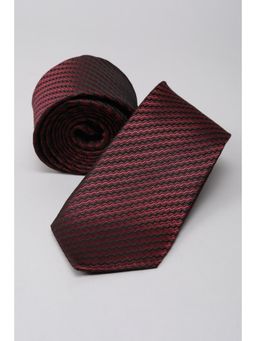 Peter England - Men Maroon Embroidered Formal Tie