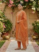 Orange color option, Currently selected