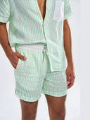 Green color option, Currently selected