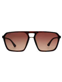 Scott Sunglasses - Mens Gradient Brown Lens Square Sunglasses - 2997 Bennett C3 S (58)