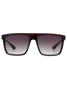 Scott Sunglasses - Mens Gradient Purple Lens Square Sunglasses - 2999 Mercer C2 S (57)