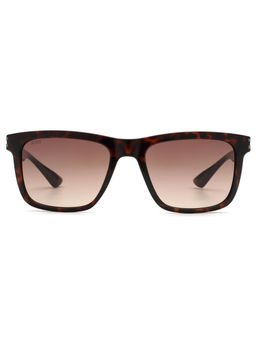 Scott Sunglasses - Mens Gradient Brown Lens Square Sunglasses with UV Protection - 3000 Koda C2 S (54)