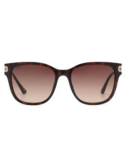 Scott Sunglasses - Womens Smoke Brown Lens Square Sunglasses - 3008 Eloise C2 S (54)