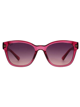 Scott Sunglasses - Unisex Gradient Pink Lens Wayfarer Sunglasses - 3018 Hollis C3 S (53)