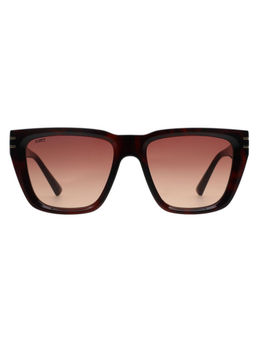 Scott Sunglasses - Mens Gradient Brown Lens Wayfarer Sunglasses - 3020 Griffin C2 S (54)