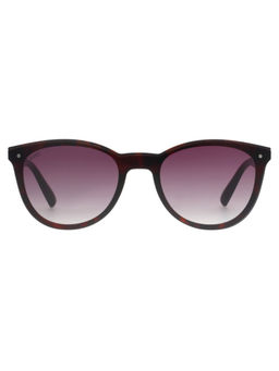 Scott Sunglasses - Womens Gradient Purple Lens Round Sunglasses - 3045 Arden C2 S (53)