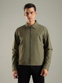 Olive color option