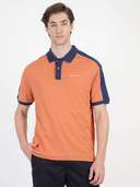 Orange color option, Currently selected