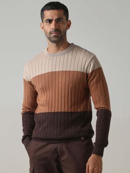 Mufti - Cotton Full Sleeves Crew Neck Colorblock Sweatshirt