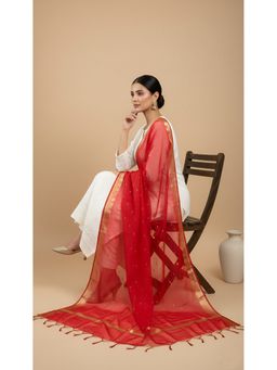 MUFFLY - Women Red Cotton Woven Dupatta