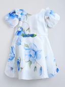 Blue color option, Currently selected