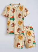 Brown color option, Sold out, Currently selected