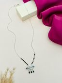 Silver color option, Currently selected
