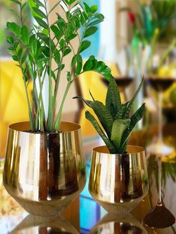 Ecofynd - Alice Gold Metal Pot