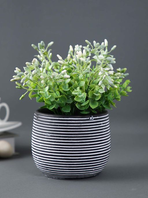 Tayhaa Spiral Design Ceramic Black Planter