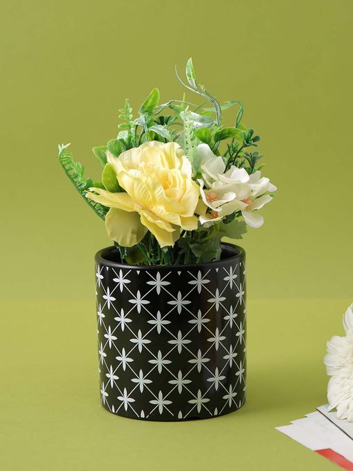 Tayhaa Printed Ceramic Black Planter