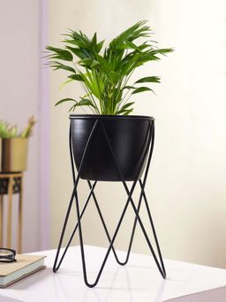 Tayhaa - Classic Black Planter with Stand