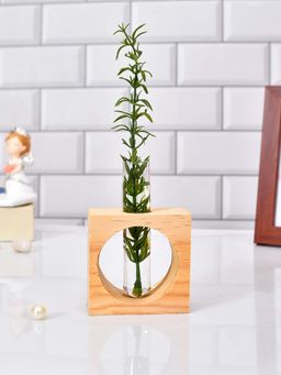 Tayhaa - Harmony Test Tube Vase with Wooden Stand