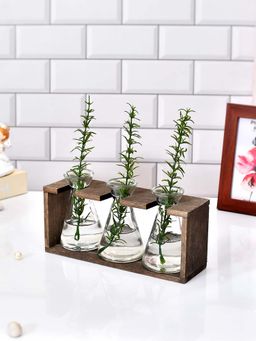 Tayhaa - Wooden Transparent Organised Vases with Holder