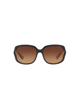 Coach - 0HC8169 Logo Rivet Brown Gradient Lens Square Female Sunglasses