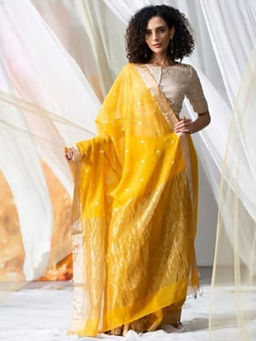 Fabindia - Cotton Silk Chanderi Sari