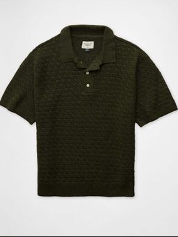 American Eagle - Men Green Cotton Collar Neck Regular Fit Polo T-shirt